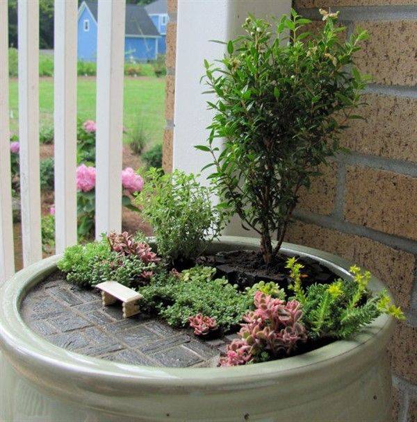 Miniature Japanese Fairy Garden