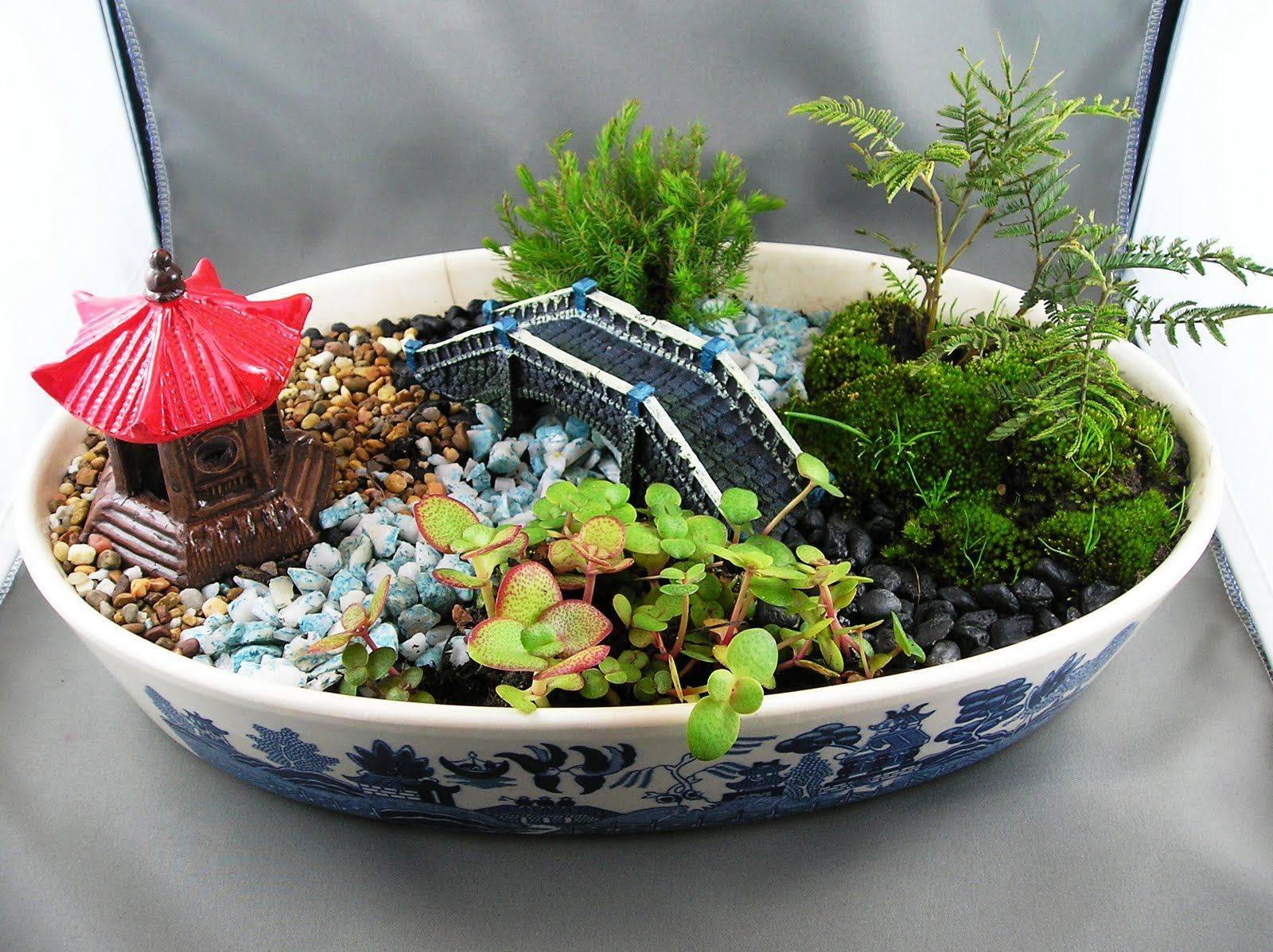 An Indoor Fairy Garden