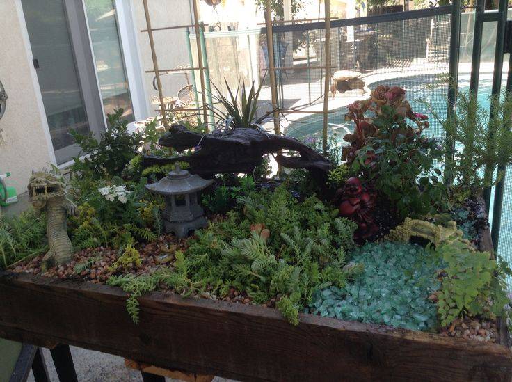 Gardens Mini Zen Garden