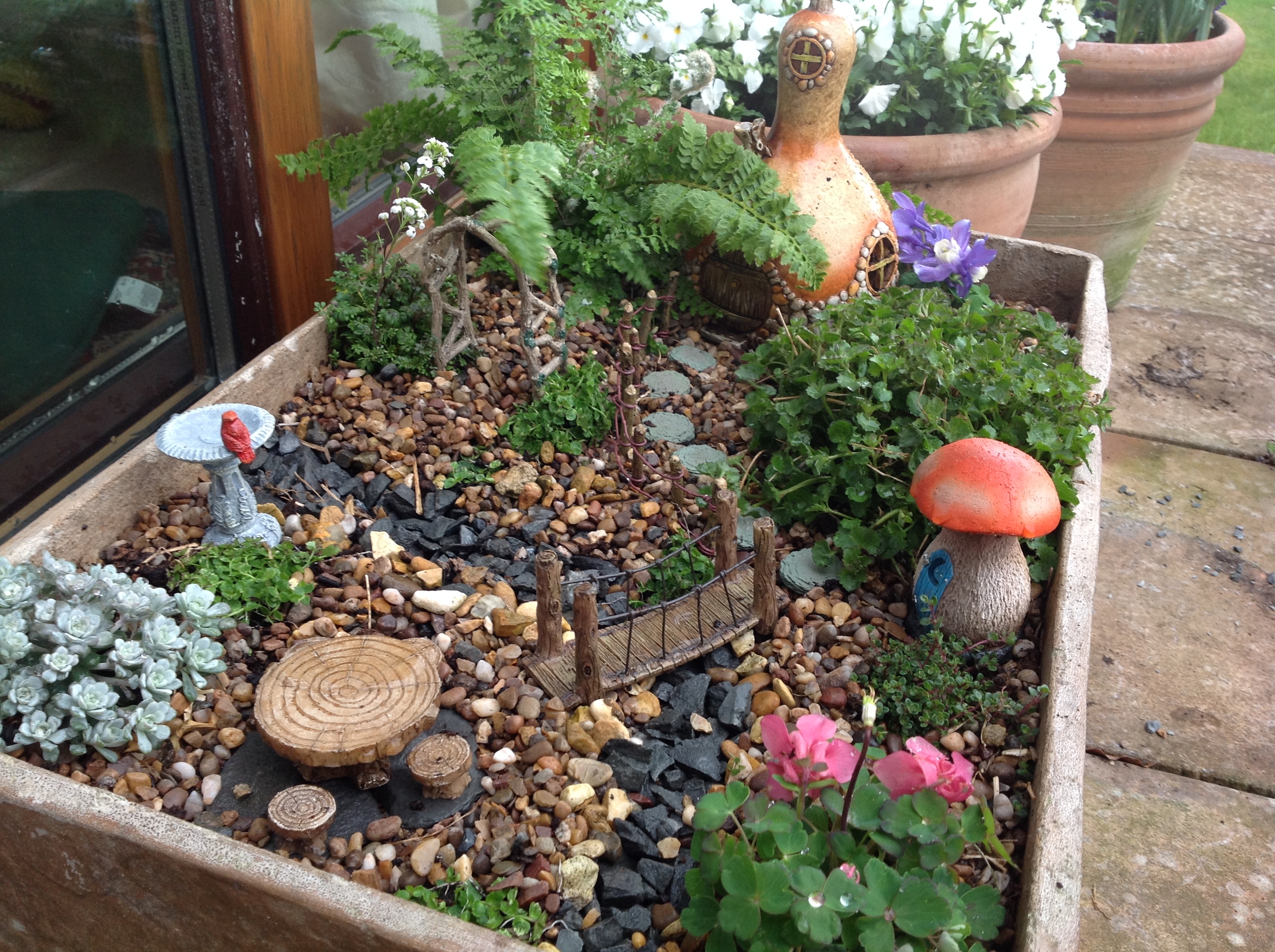 Tree Stump Fairy Gardens