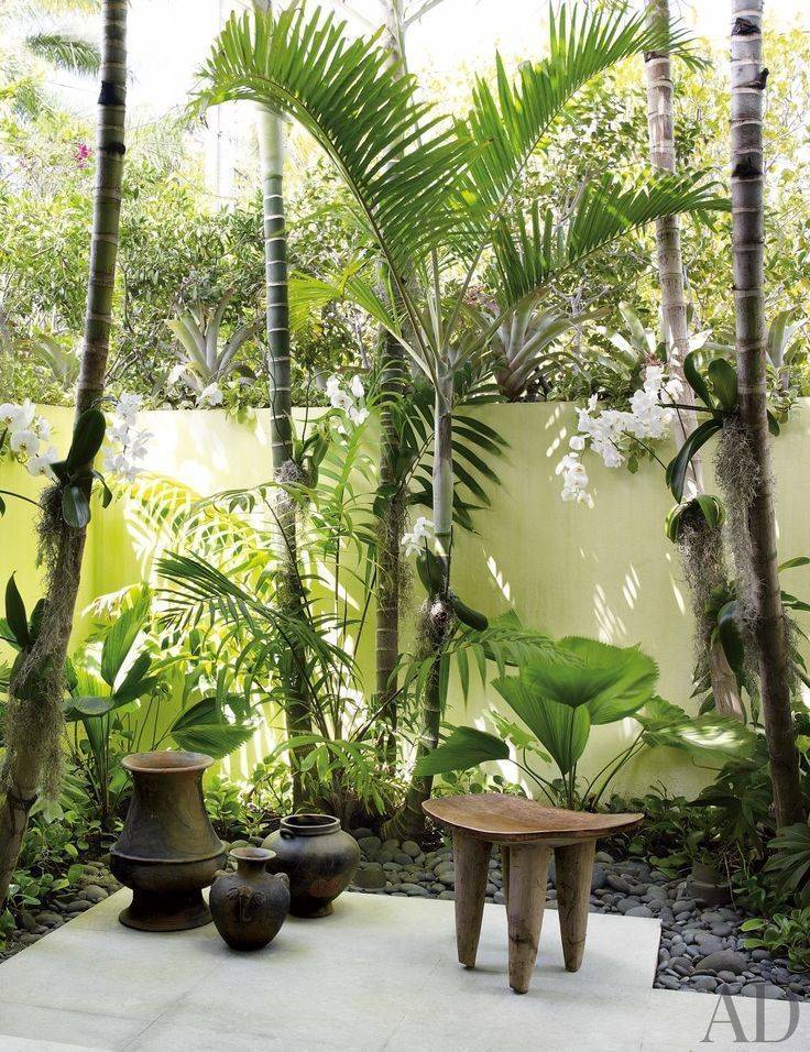 23 Tropical Courtyard Garden Ideas To Try This Year SharonSable
