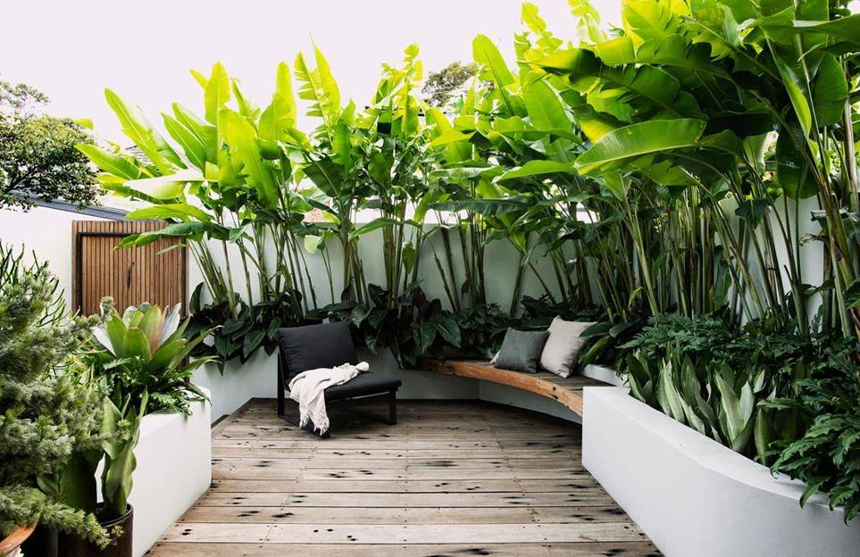 23 Tropical Courtyard Garden Ideas To Try This Year SharonSable