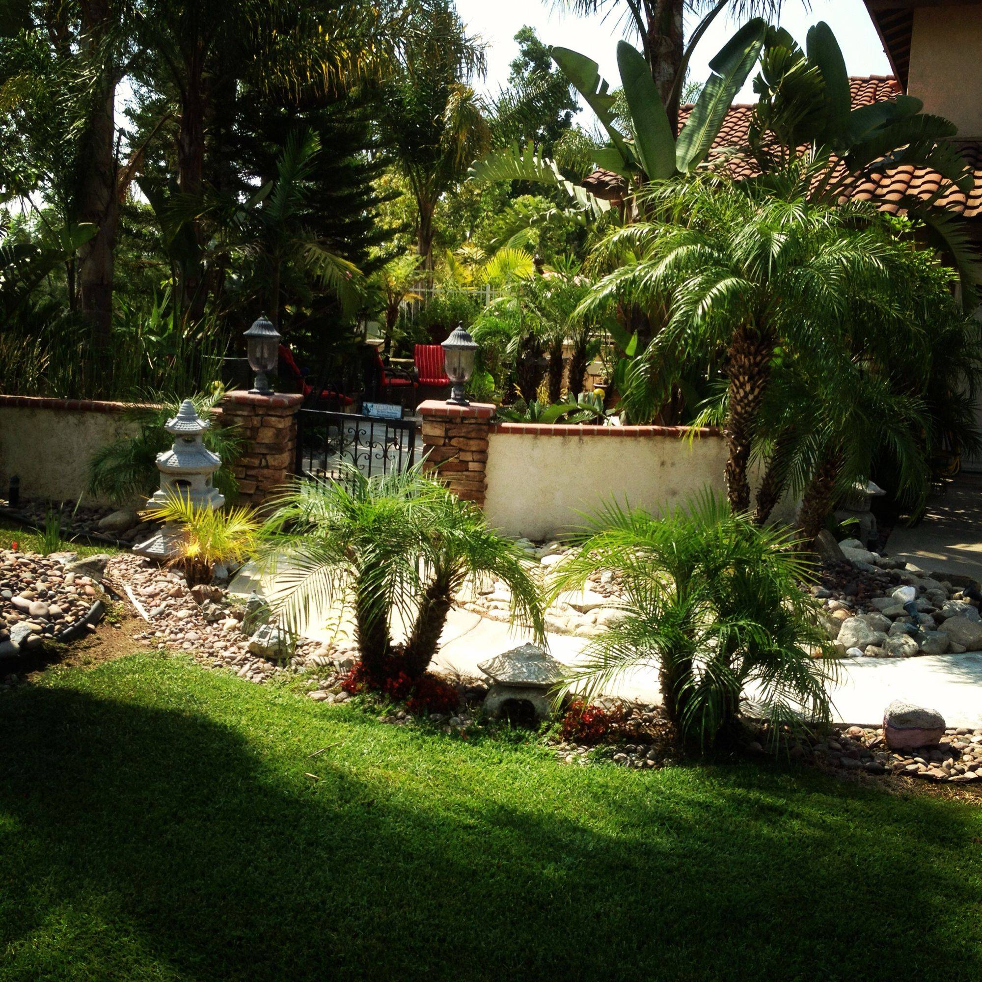 23 Tropical Courtyard Garden Ideas To Try This Year SharonSable