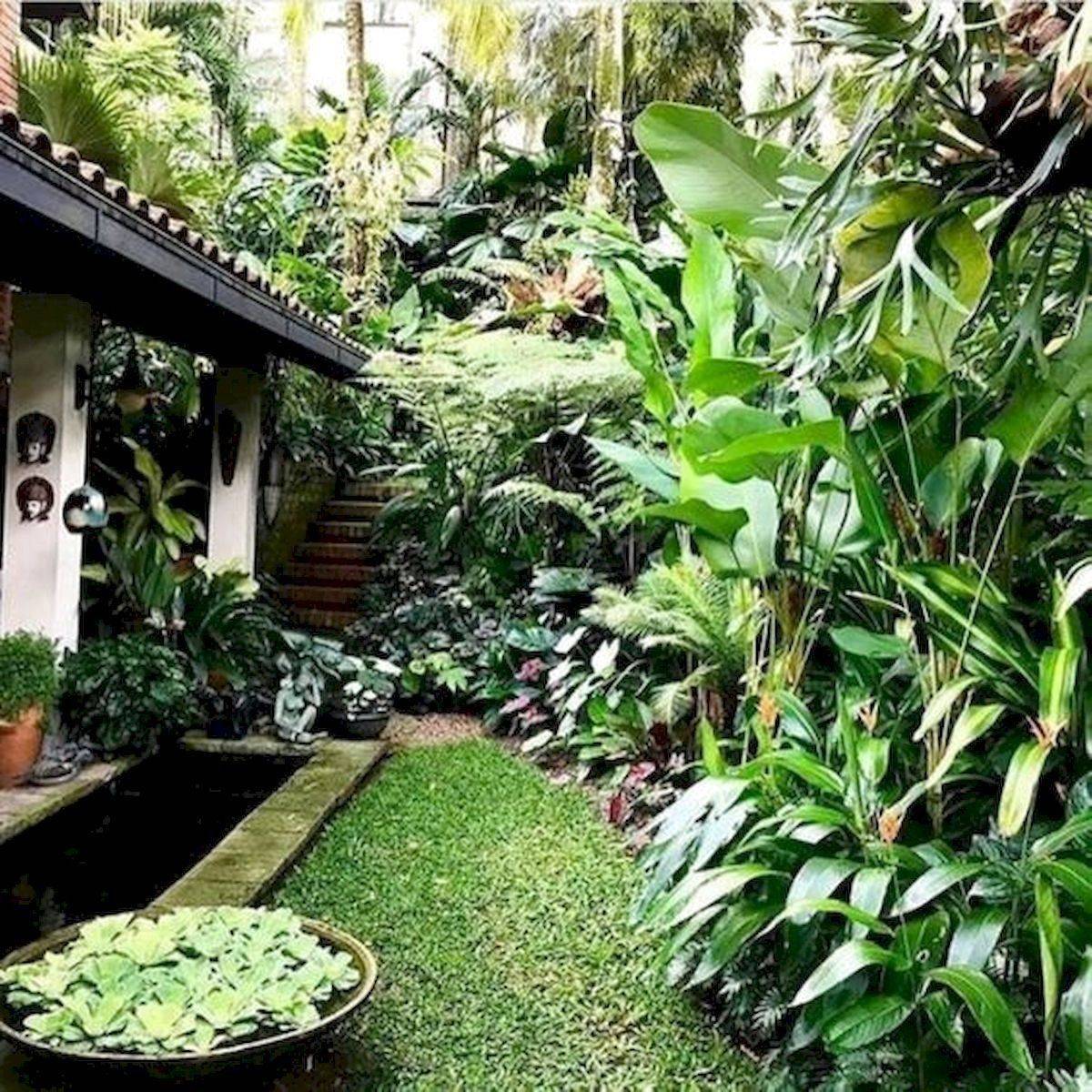 23 Tropical Courtyard Garden Ideas To Try This Year SharonSable