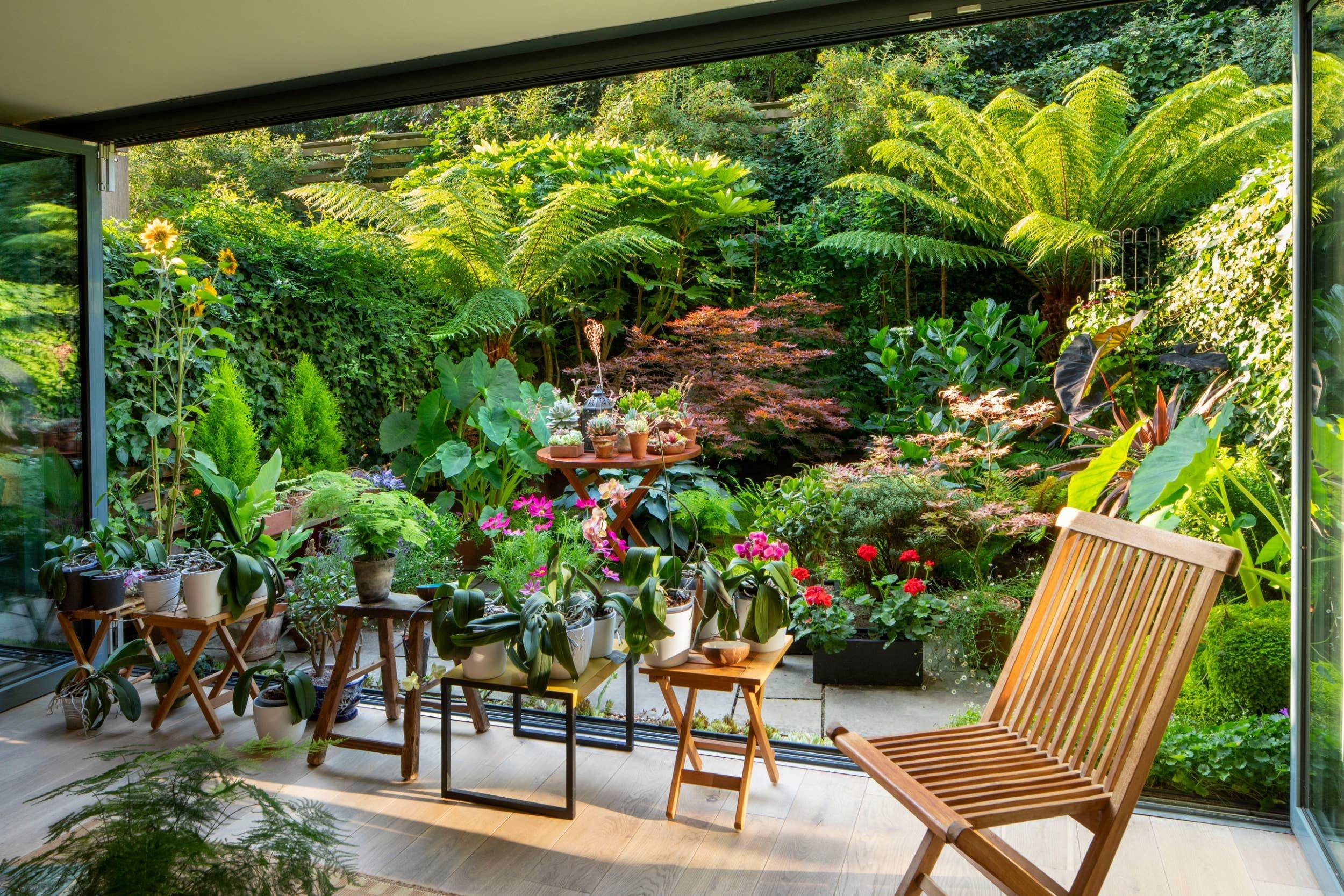 23 Tropical Courtyard Garden Ideas To Try This Year | SharonSable