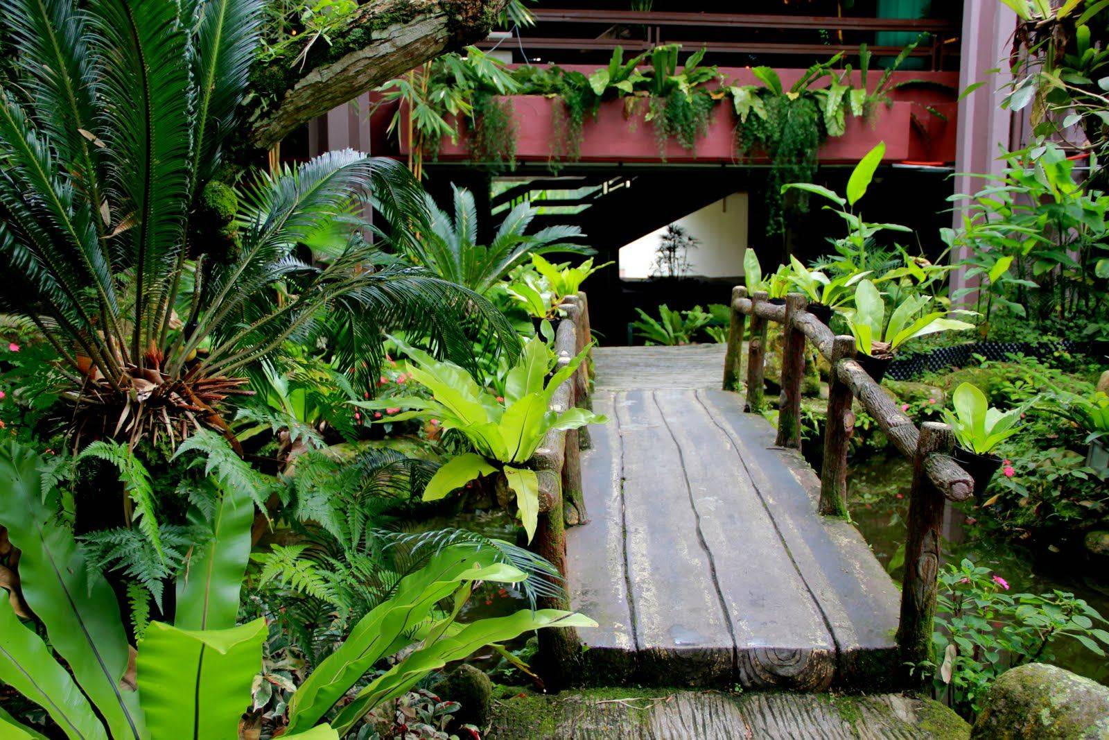 Small Tropical Gardens Image