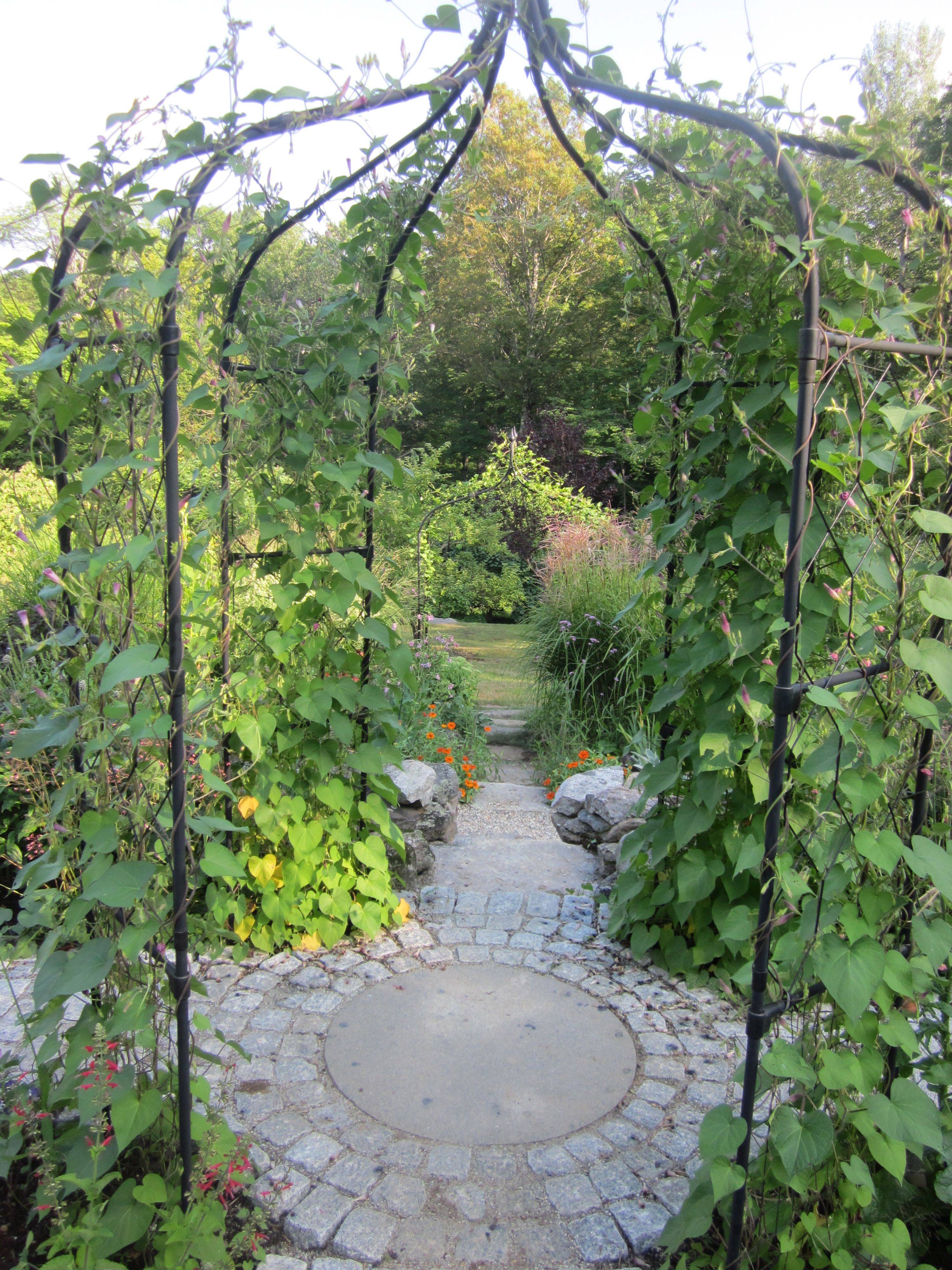 Cottage Groundcovers