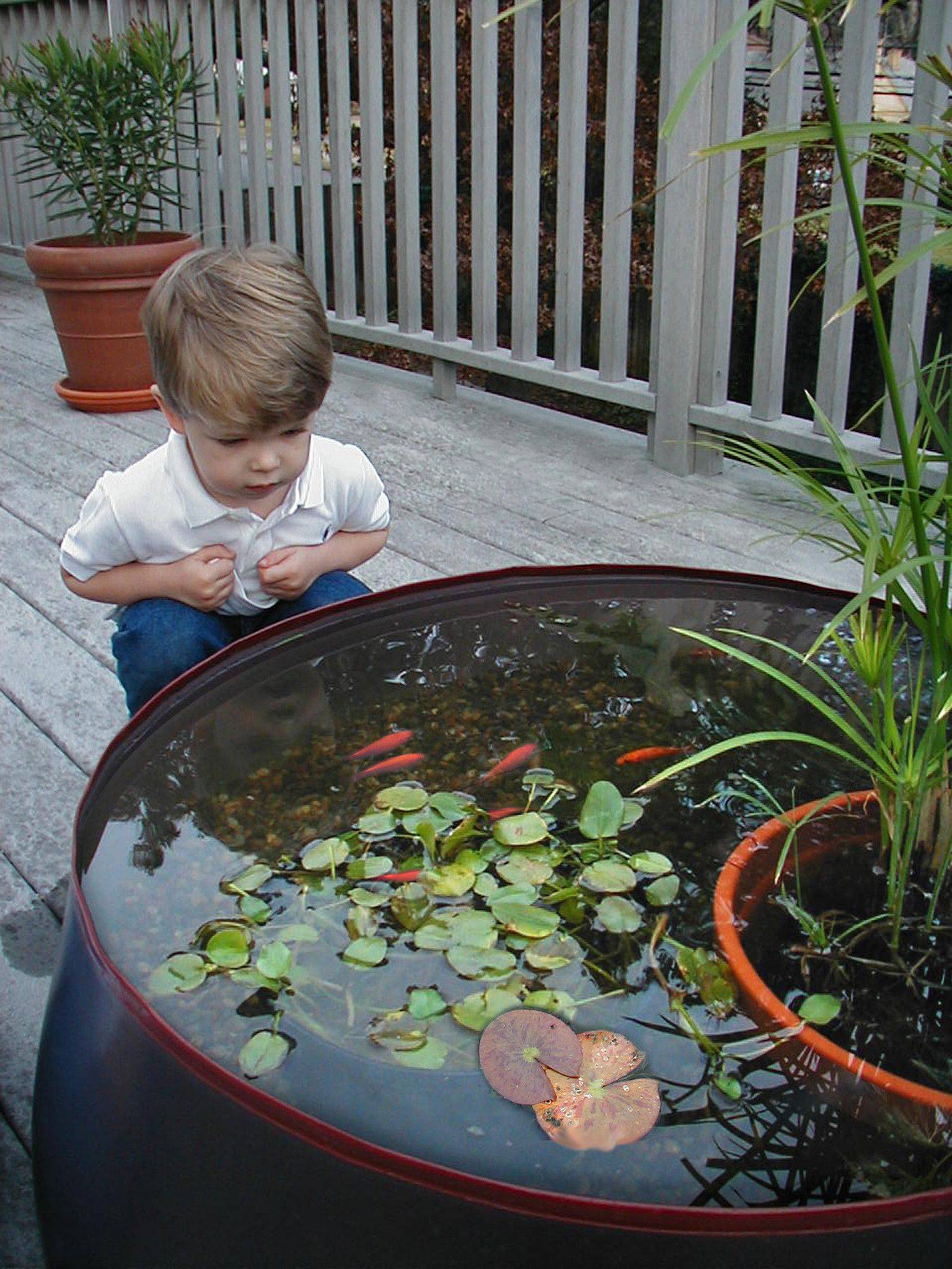 Garden Igloo