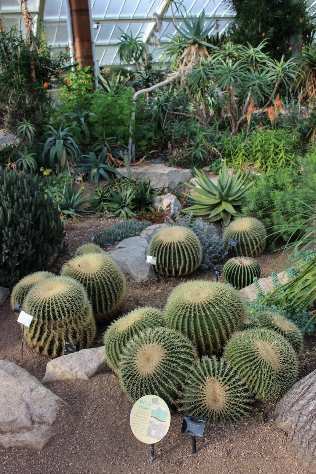 Kew Gardens N Chadwick