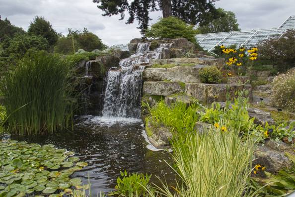 Oxford Botanic Garden