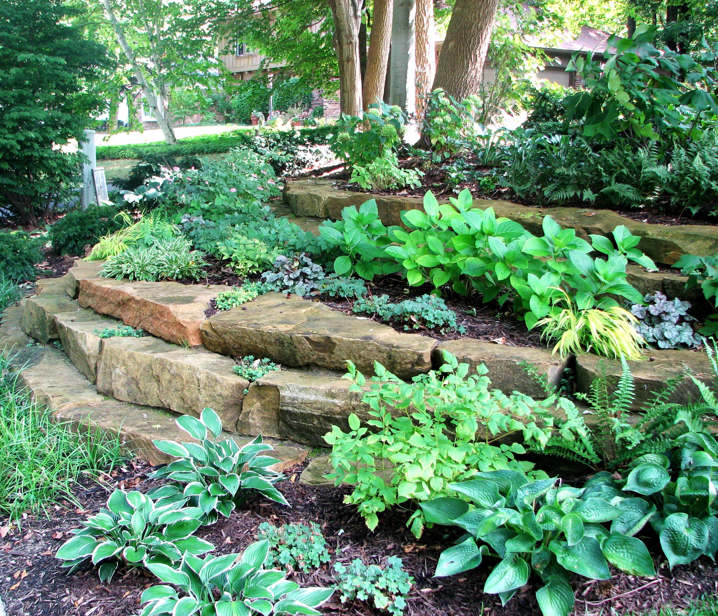 Shade Garden Ideas Pictures Photograph