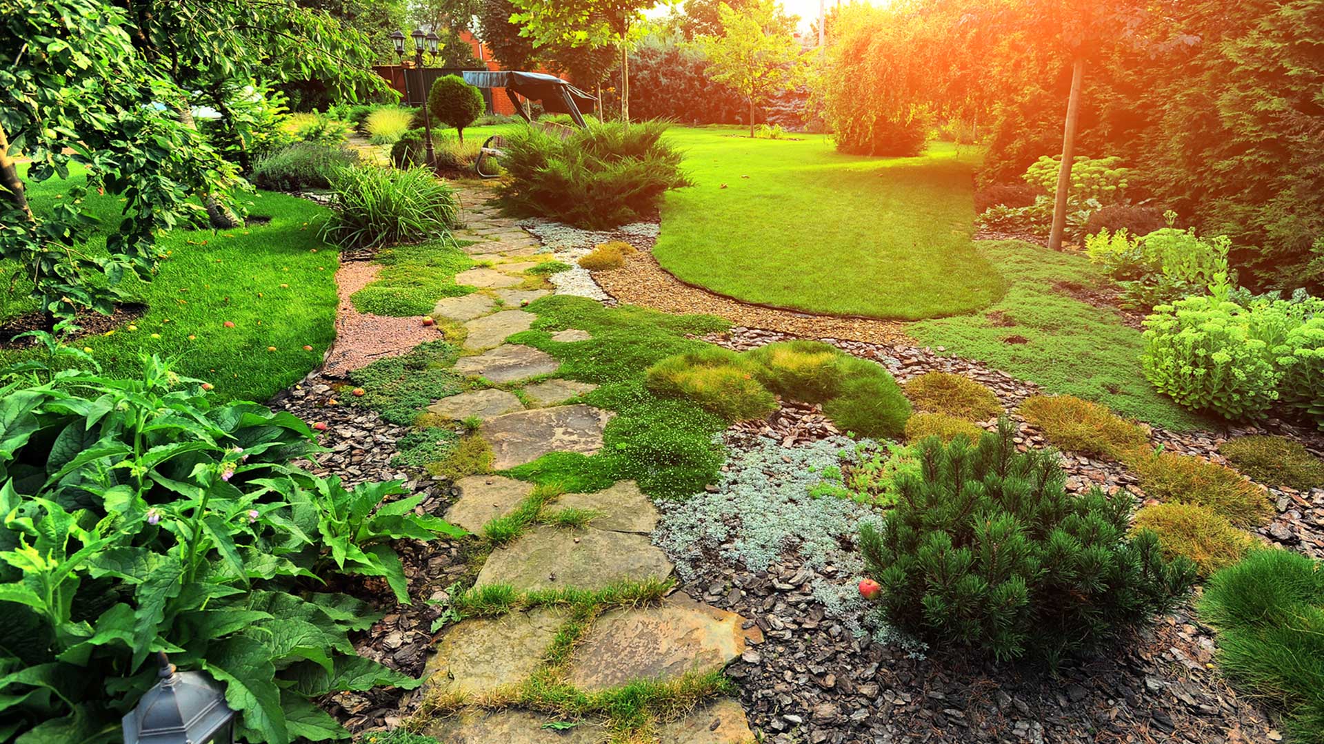 A Small Succulent Garden Design