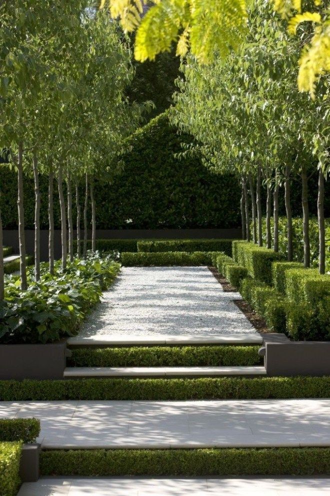 Showy Shade Garden Ideas