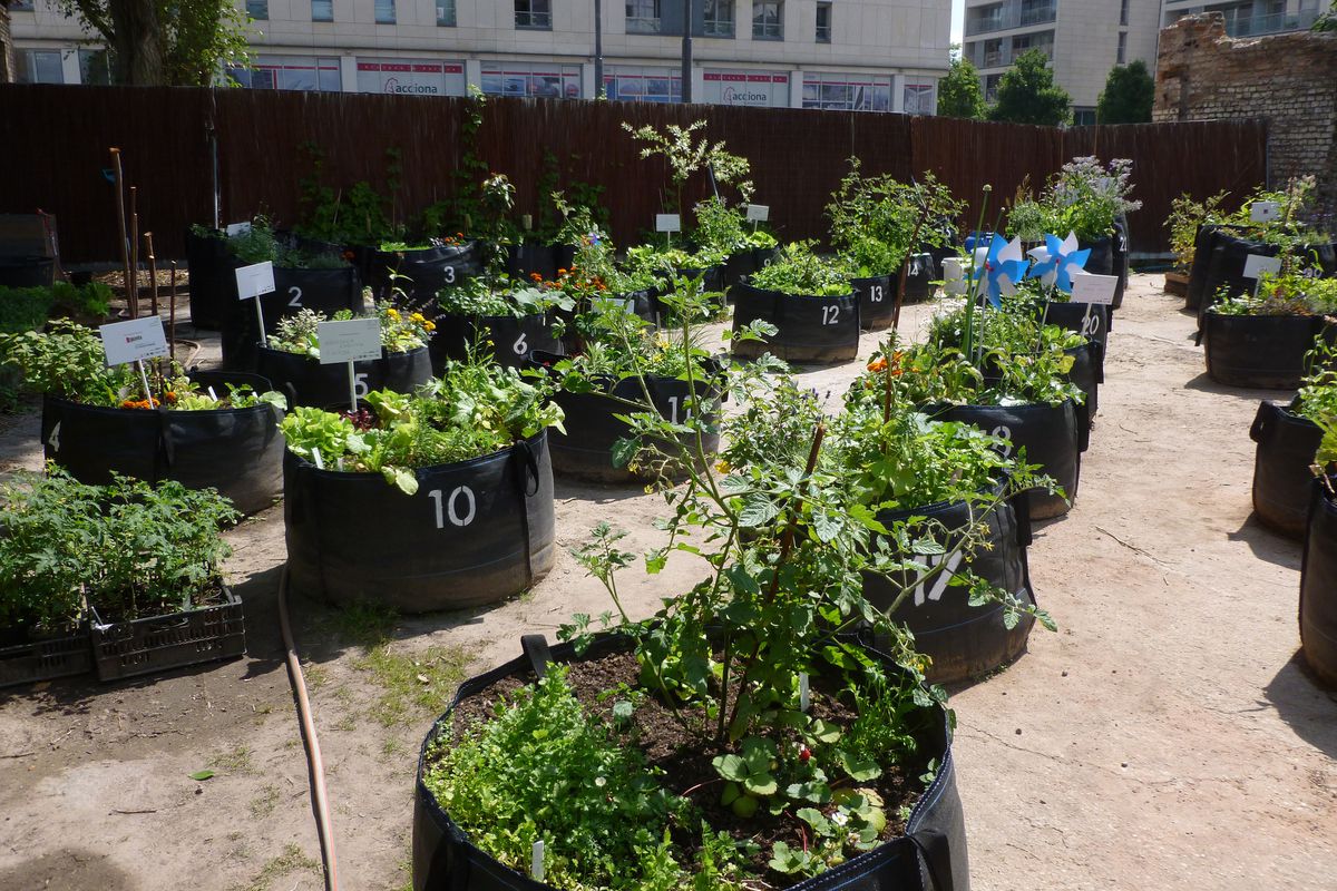 Diy Gardening Ideas