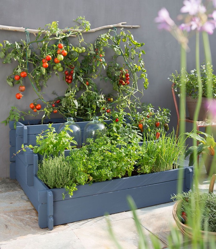 Urban Gardening