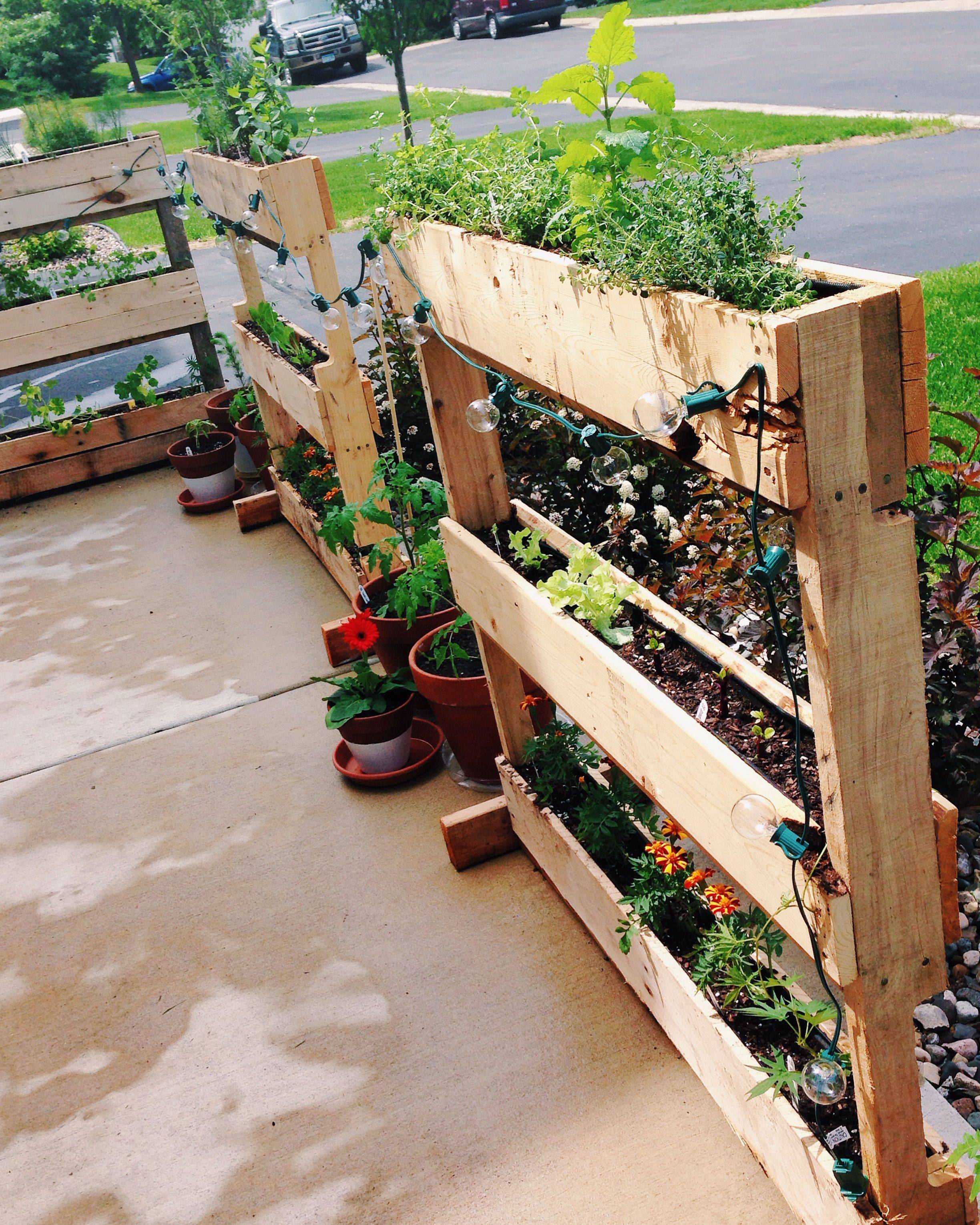 Vertical Herb Gardens