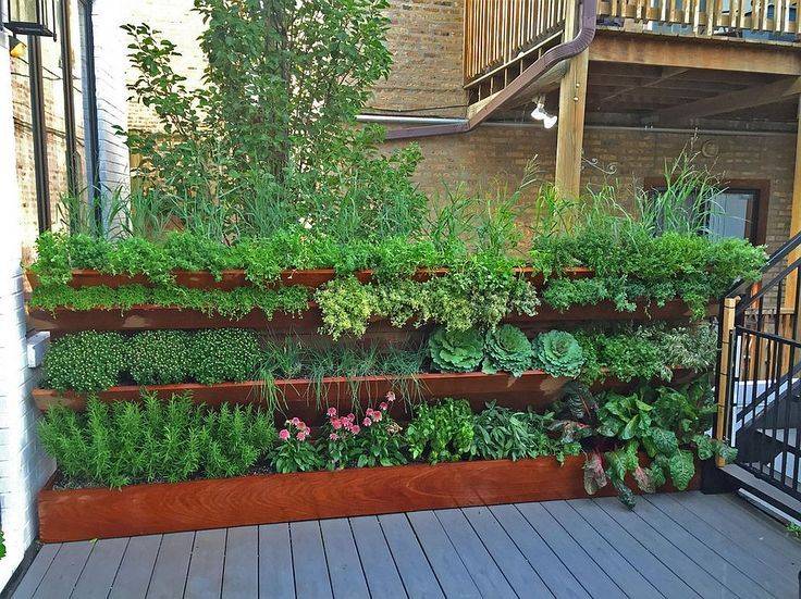 Vertical Herb Gardens