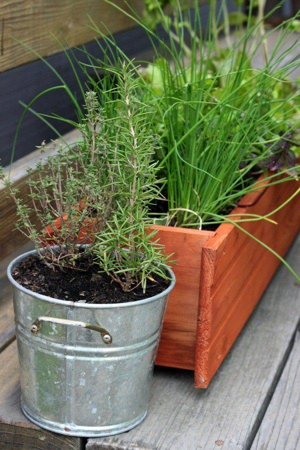 Diy Hanging Herb Garden