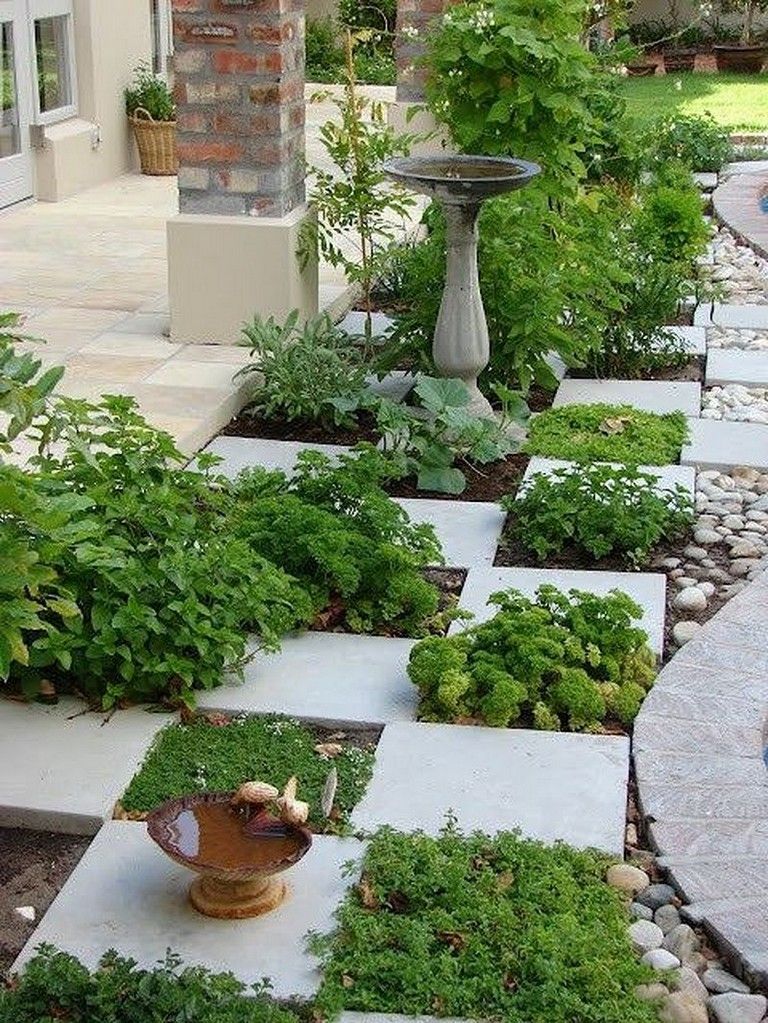 A Balcony Kitchen Garden