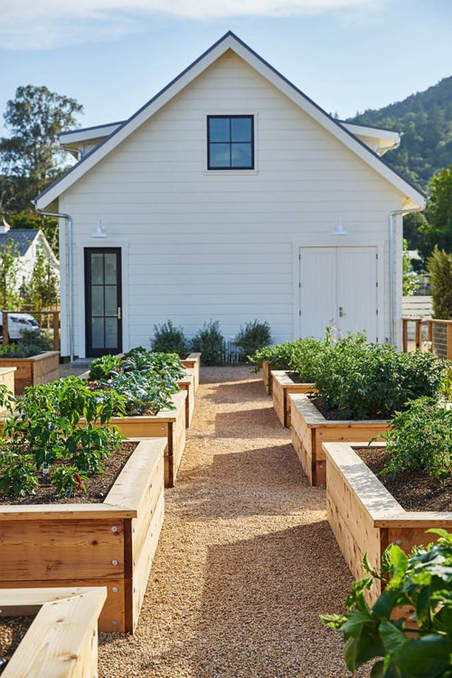 Vegetable Garden