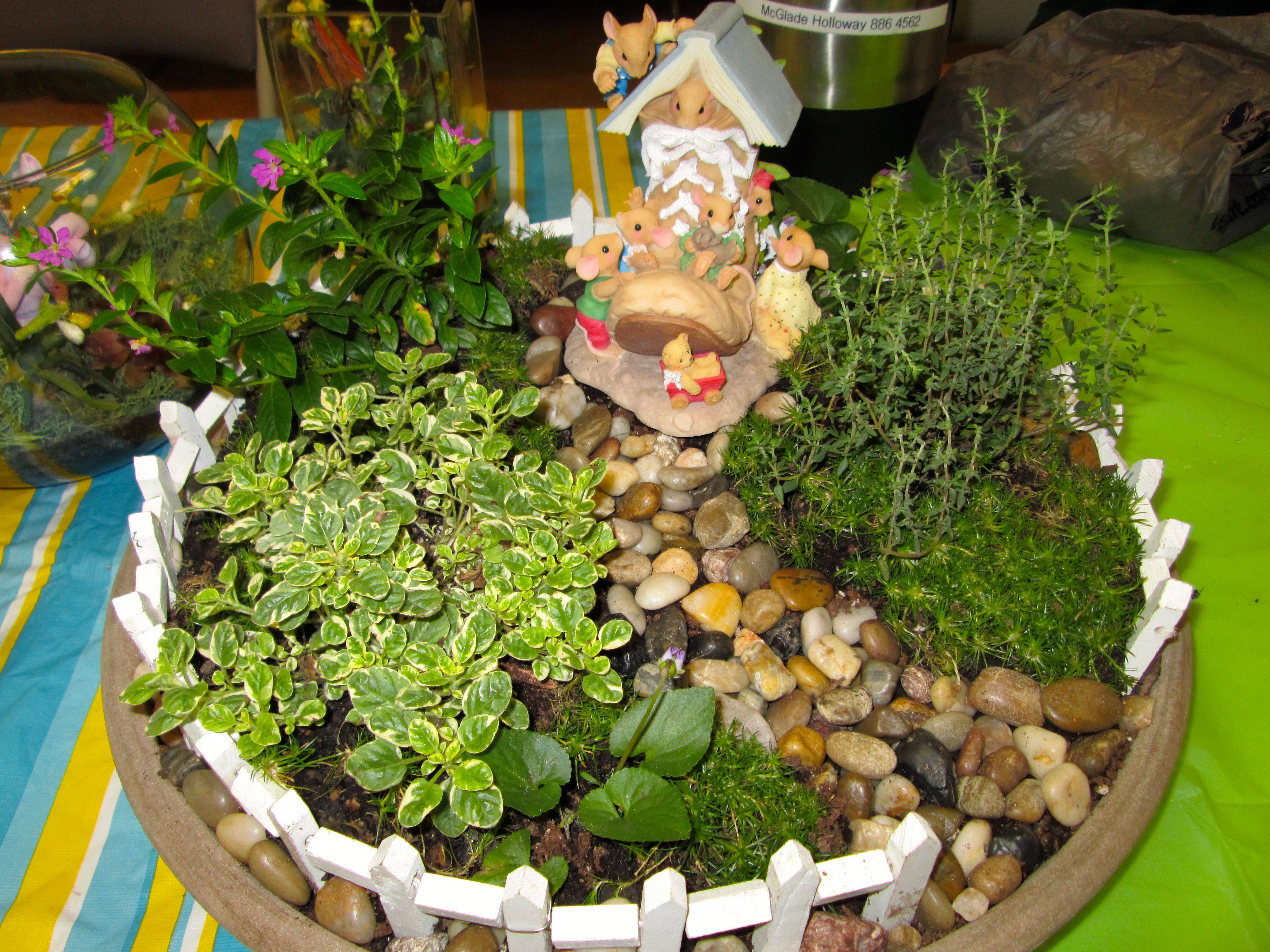 Parsley Succulent Dish Garden Planter