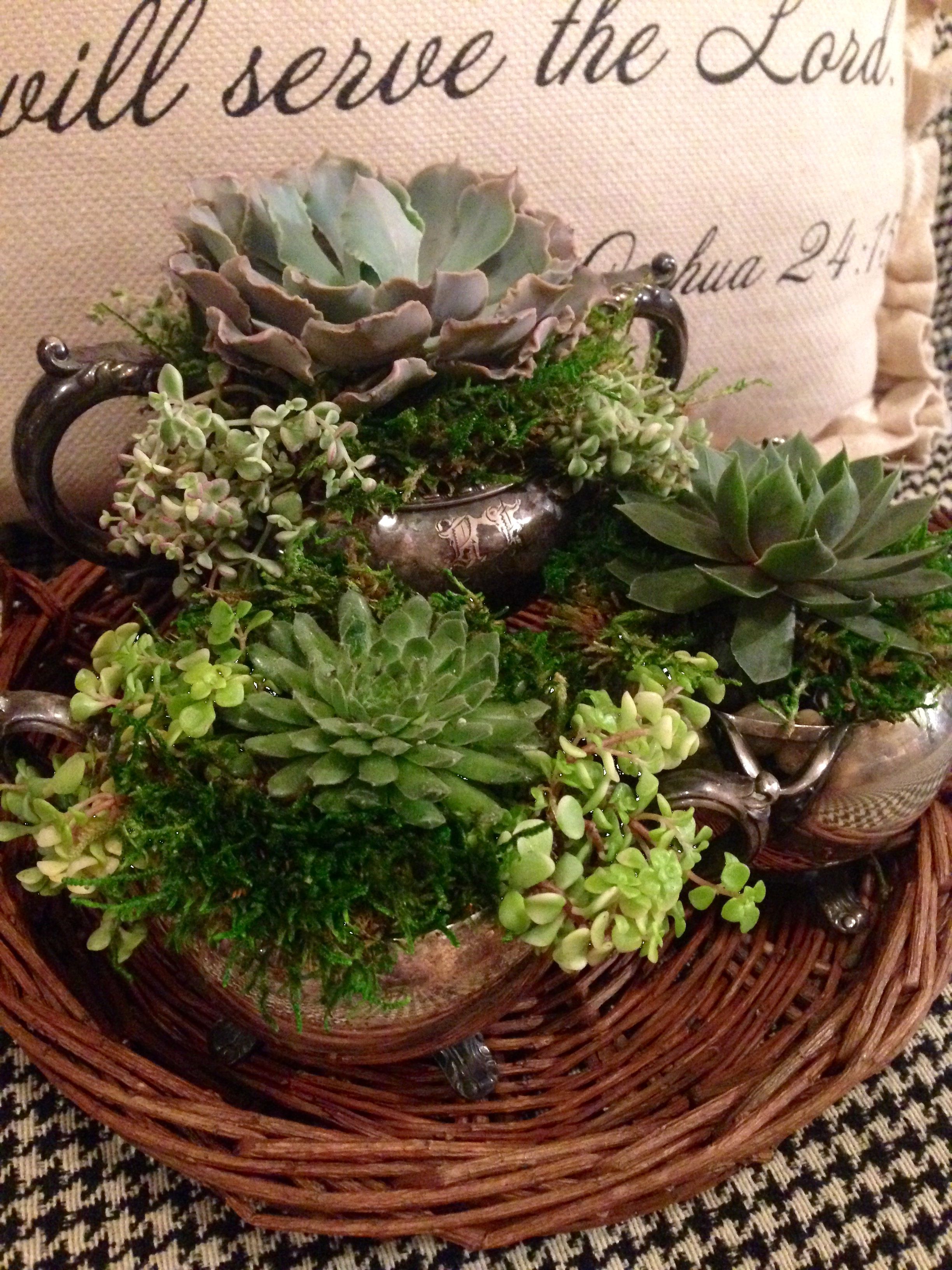Pin On Gardening That I Love
