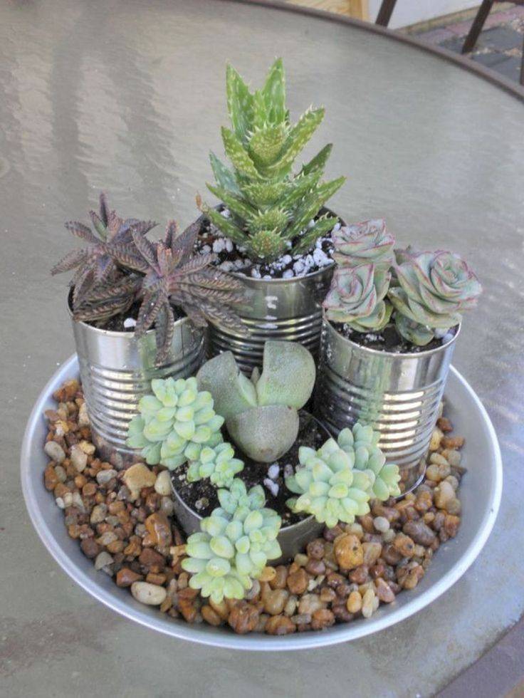 Beautiful Outdoor Succulent Planter Ideas
