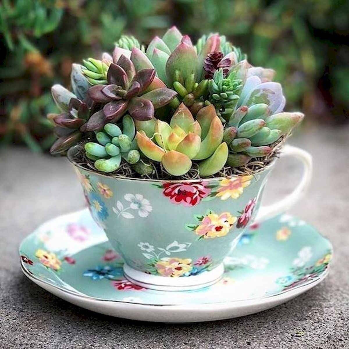 Outdoor Succulent Planter Ideas