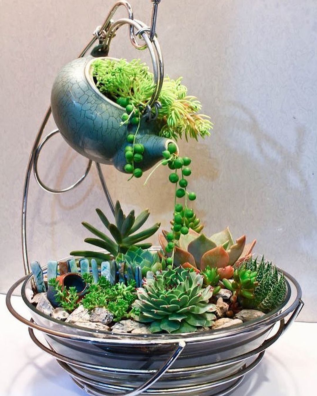 Charming Succulent Indoor Garden Ideas