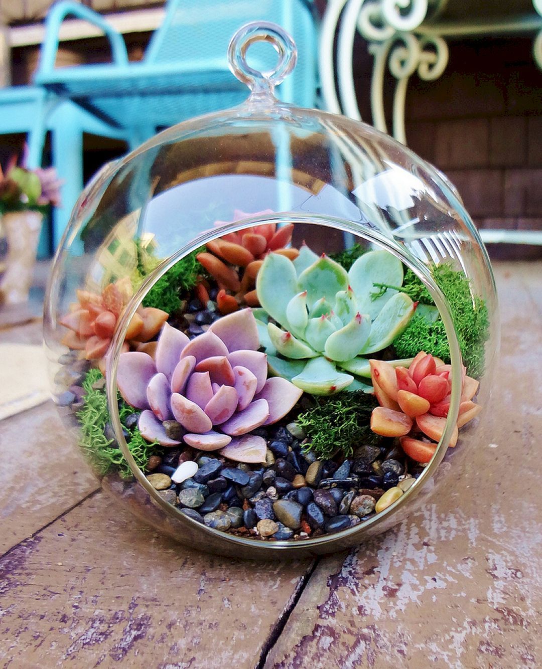 Creative Indoor And Outdoor Succulent Garden Ideas