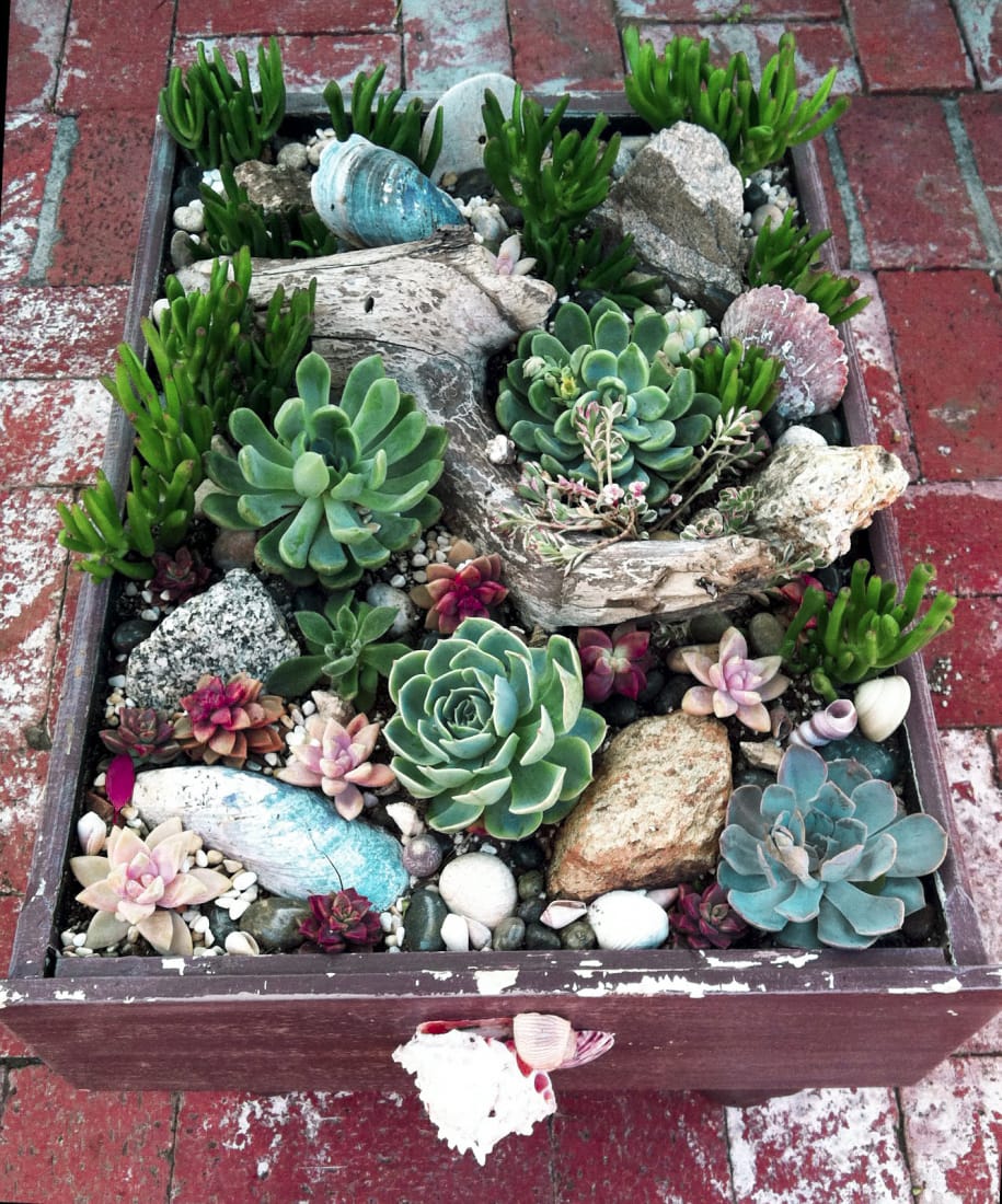 Diy Succulent Container Designs