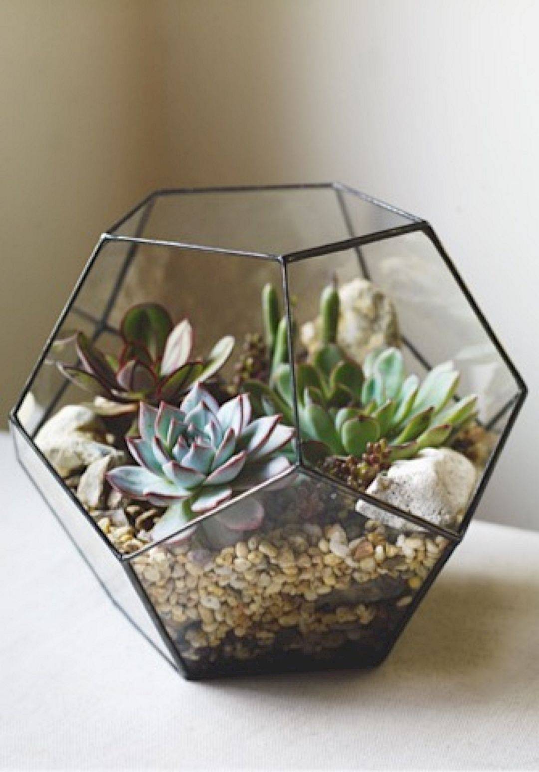 Creative Indoor And Outdoor Succulent Garden Ideas