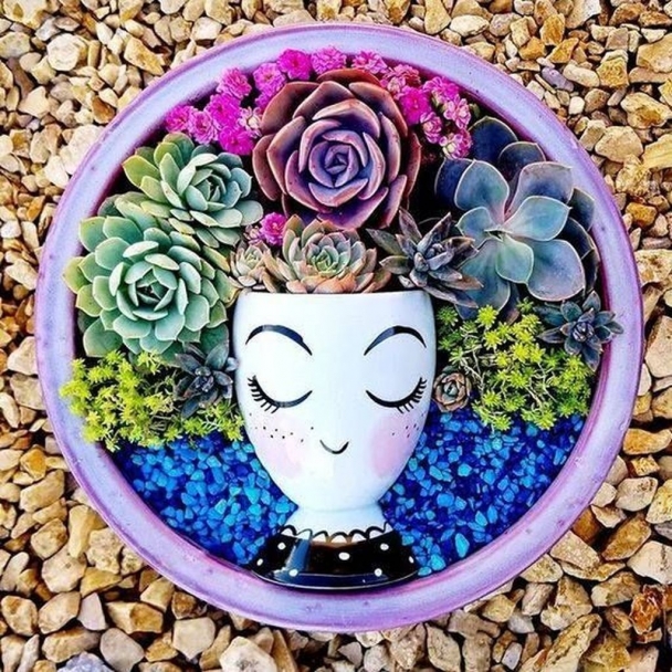 Delightful Succulent Gardens