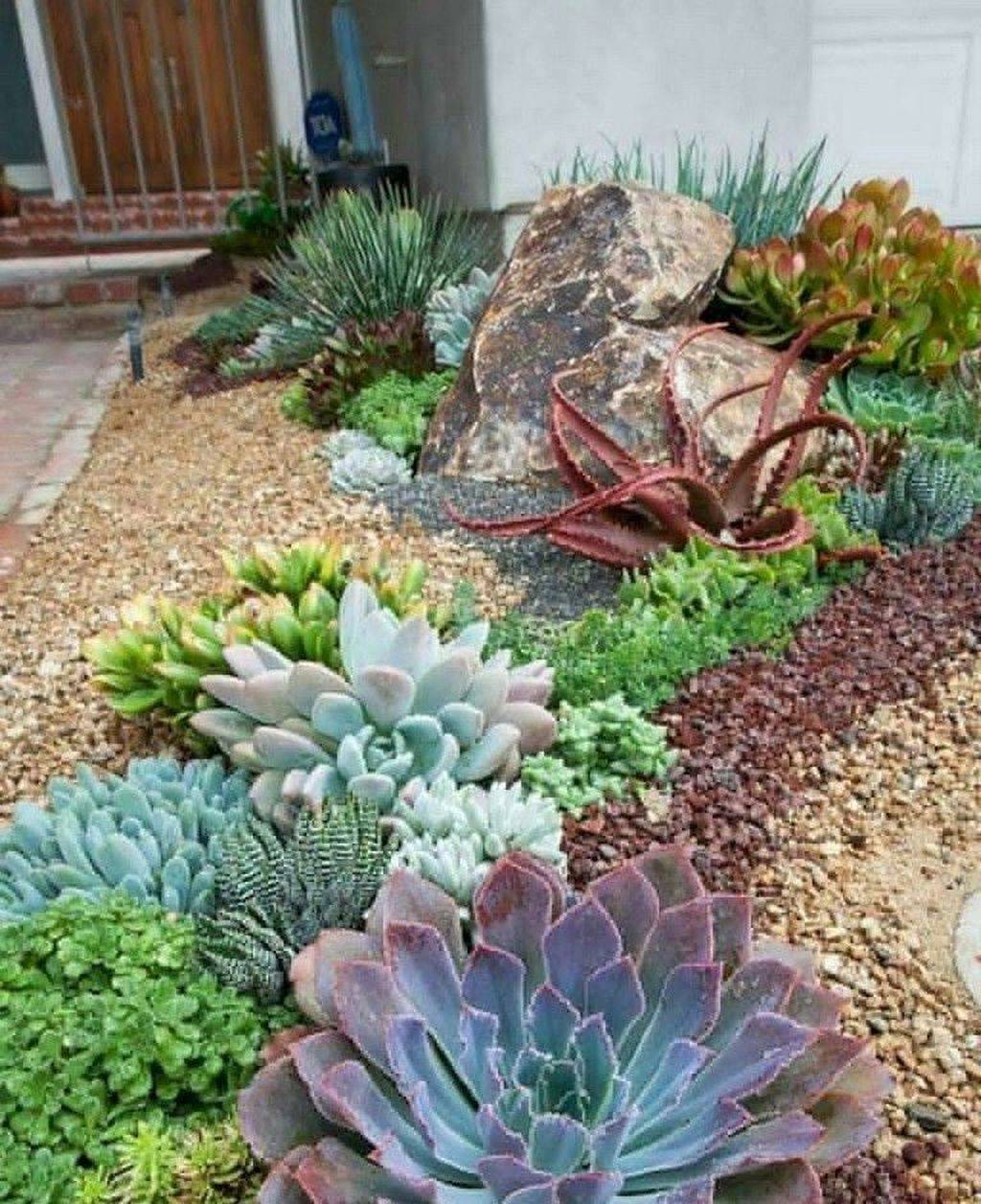 Unique And Beautiful Container Garden Ideas Sanctuary Home Decor