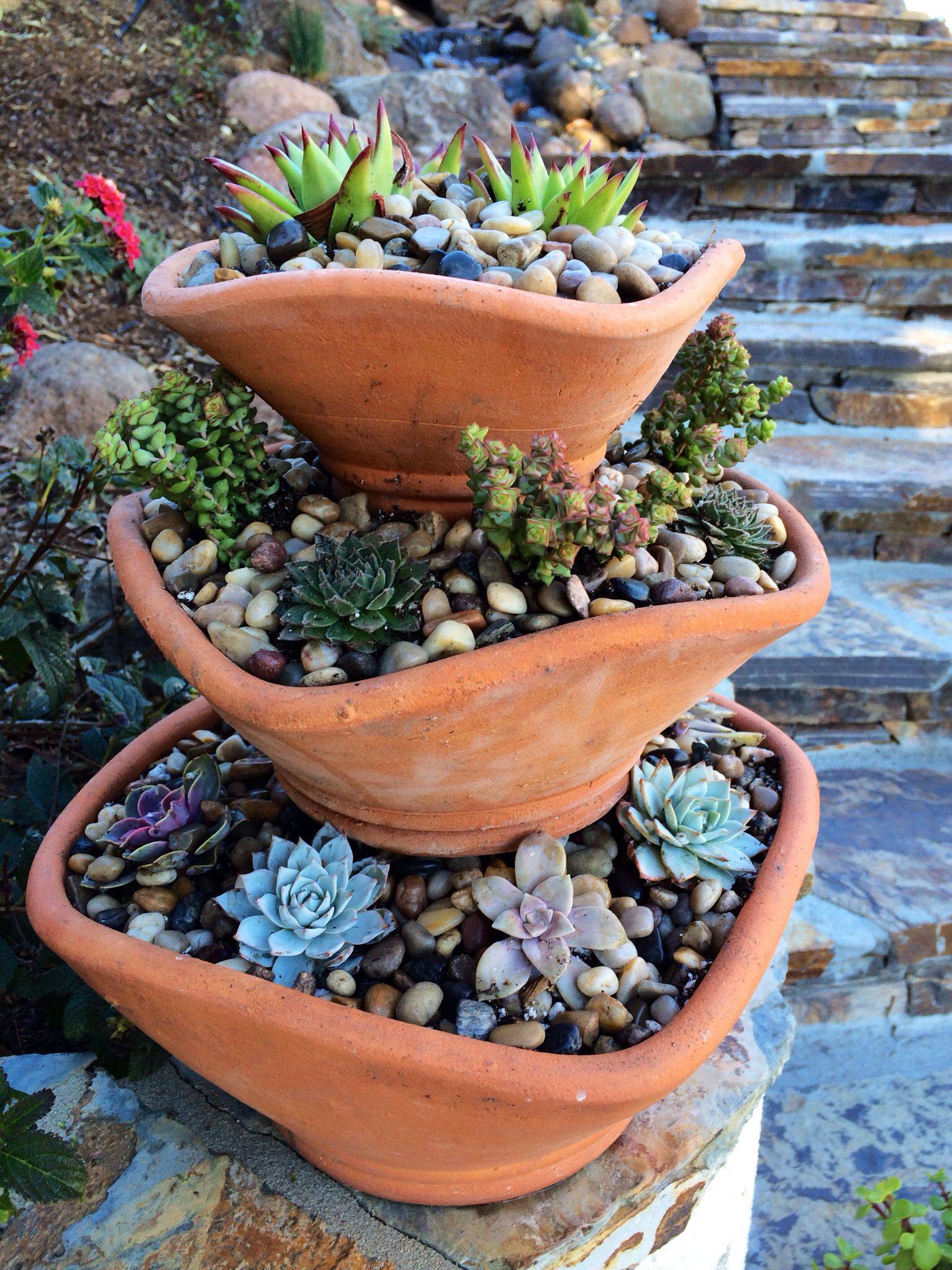 Beautiful Cactus Garden Ideas