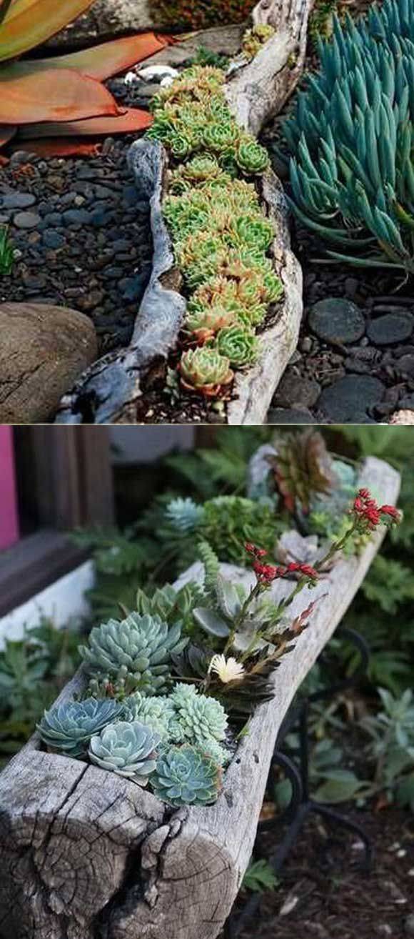 Cool And Unique Garden Decor Ideas Succulents