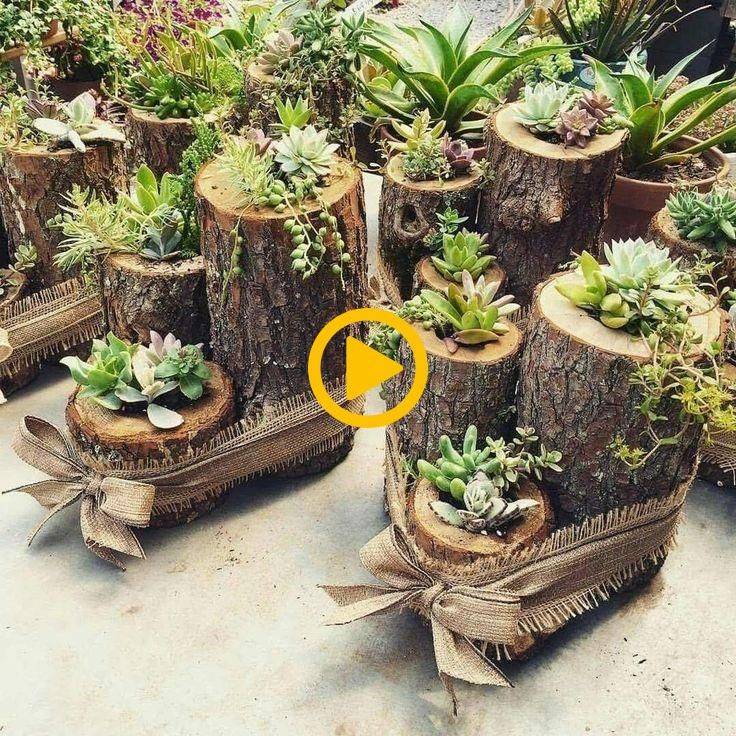 Cool Apartment Garden Ideas