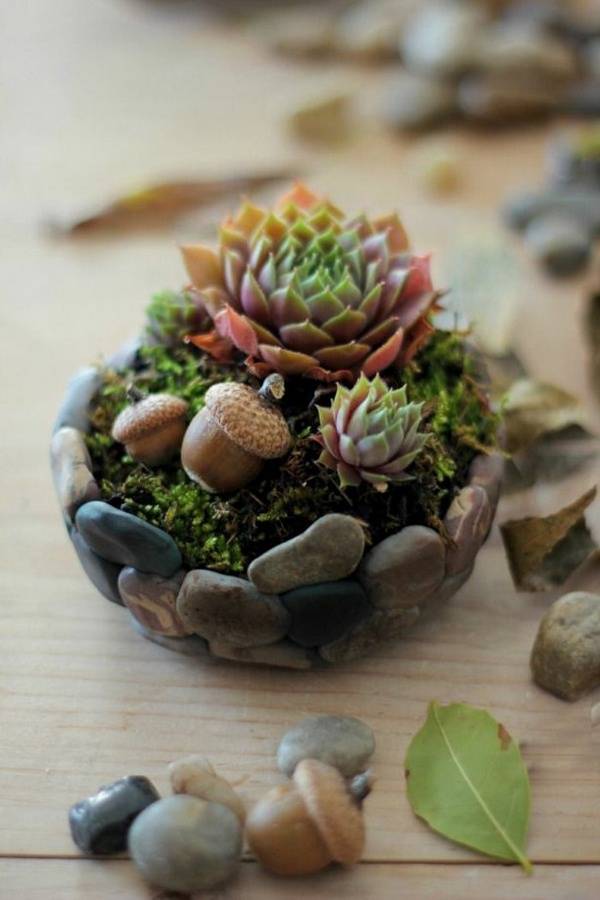 Succulent Garden