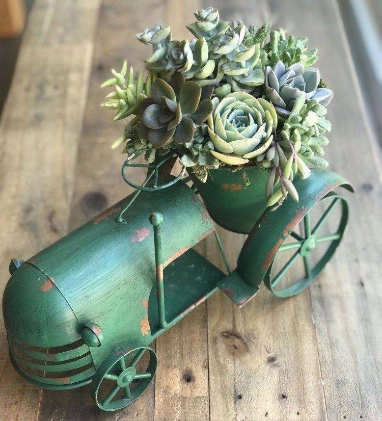 Succulent Wonderland Vertical Succulent Garden Noveltystreet