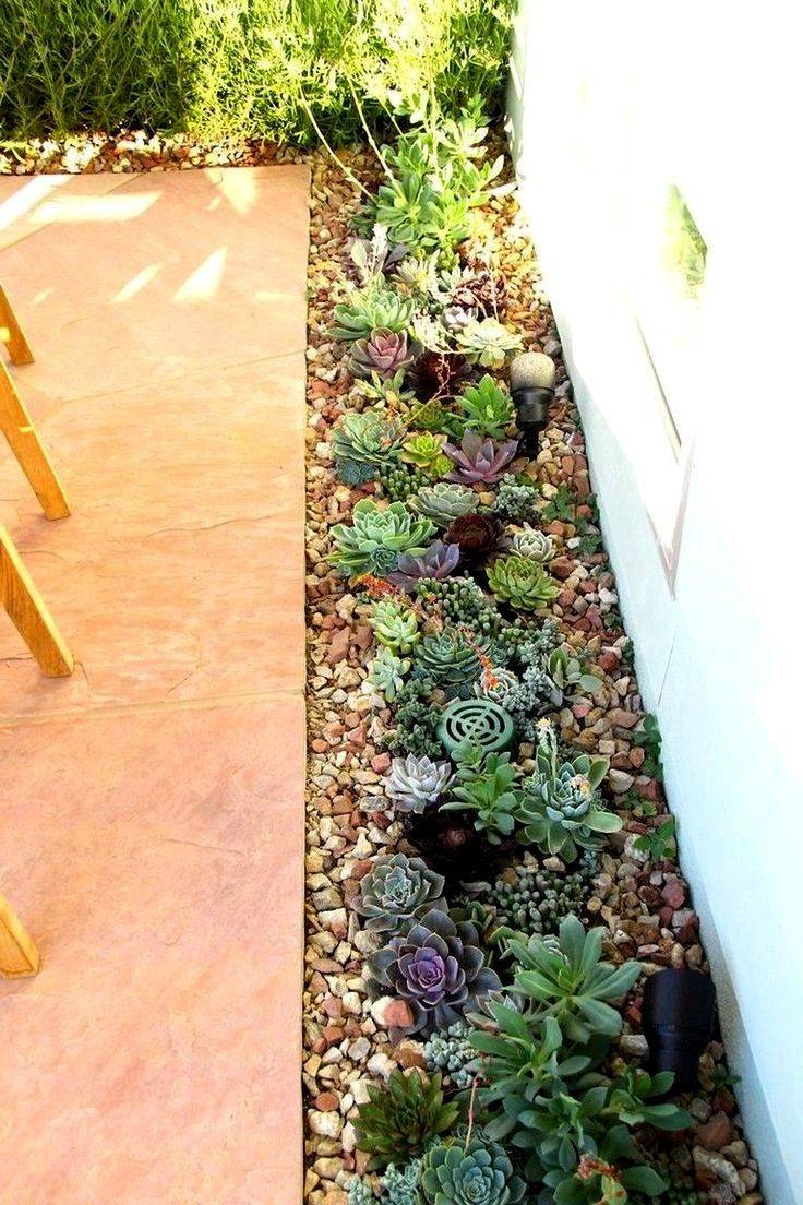 Succulent Container Garden Designs