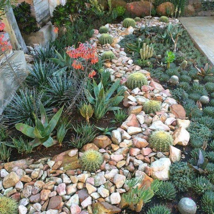 Diy Backyard Zen Garden Ideas Succulent Landscaping Succulents