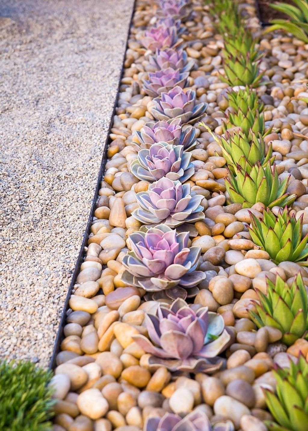22 Japanese Succulent Garden Ideas To Try This Year SharonSable