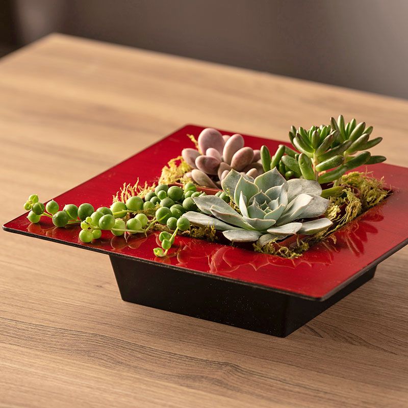 22 Japanese Succulent Garden Ideas To Try This Year SharonSable