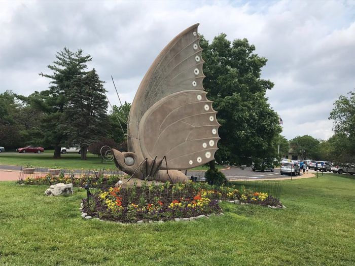 Butterfly House Julie Blanner