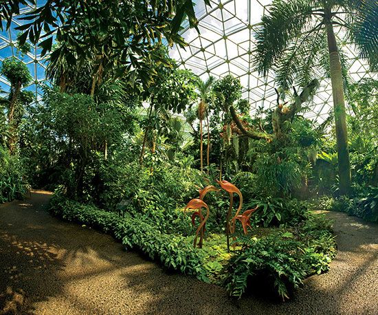 The Largest Butterfly House