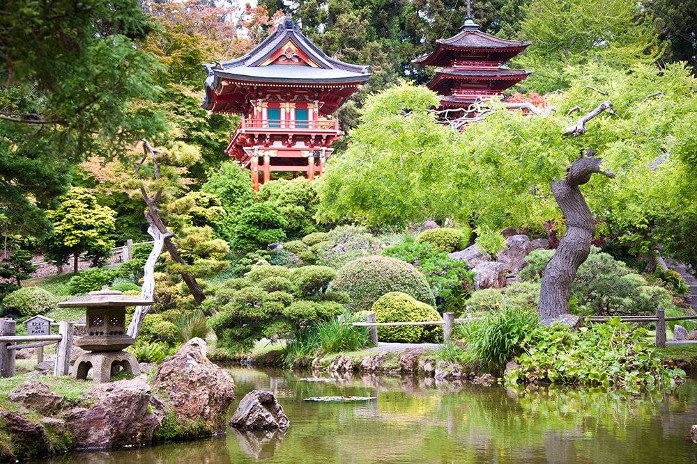 Japanese Botanical Garden Design Ideas