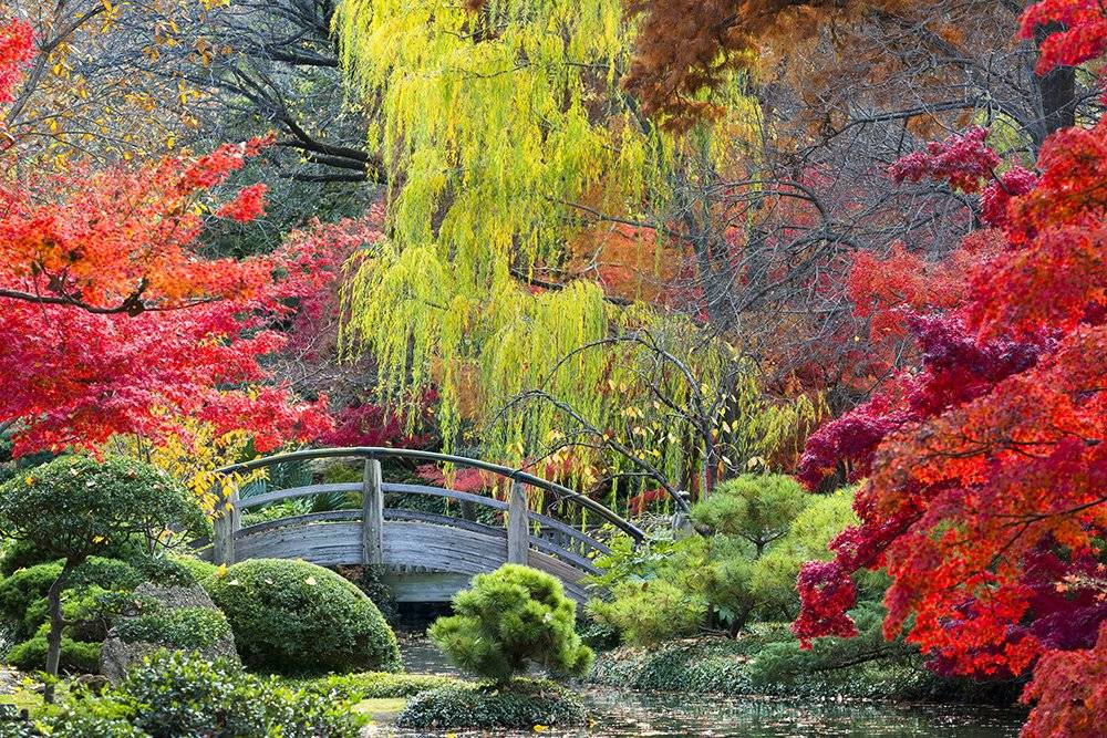 Japanese Botanical Garden Design Ideas