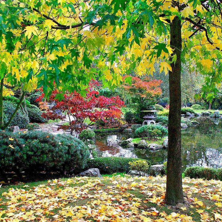 Japanese Botanical Garden Design Ideas