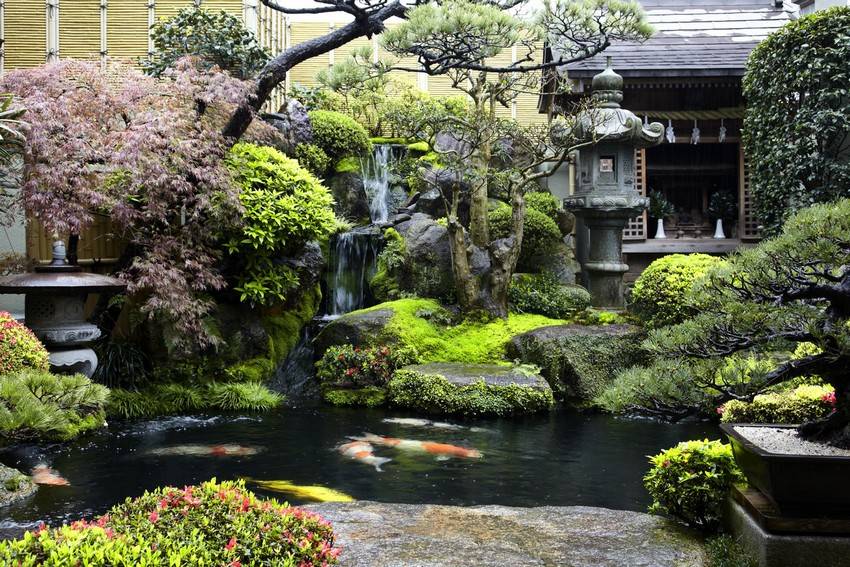 The Japanese Botanical Garden