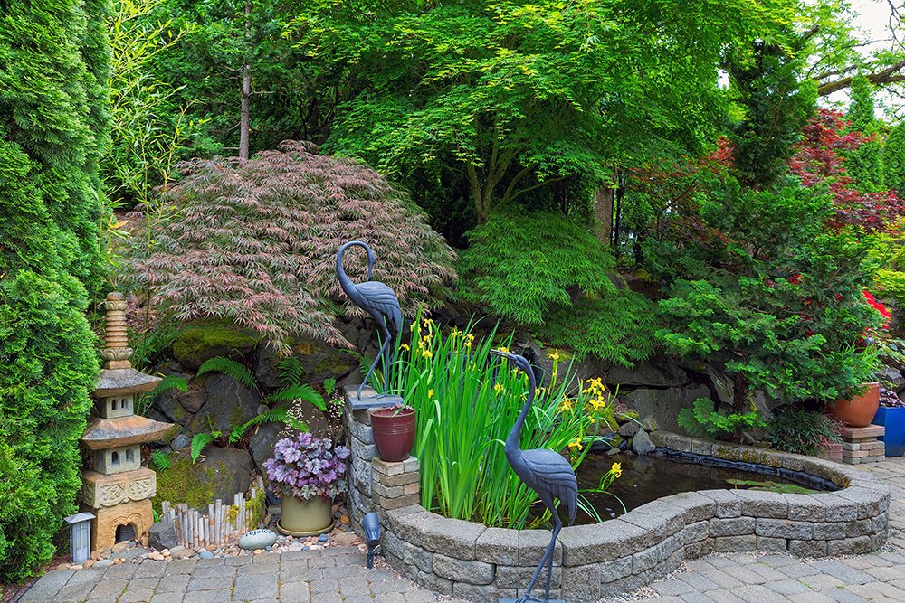 Japanese Garden Ideas